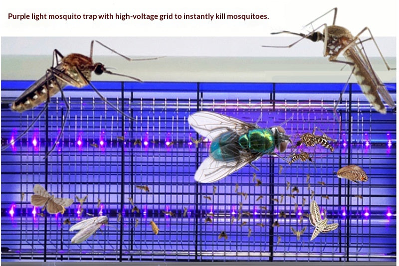 🦟 Mosquito Killer LED 8W